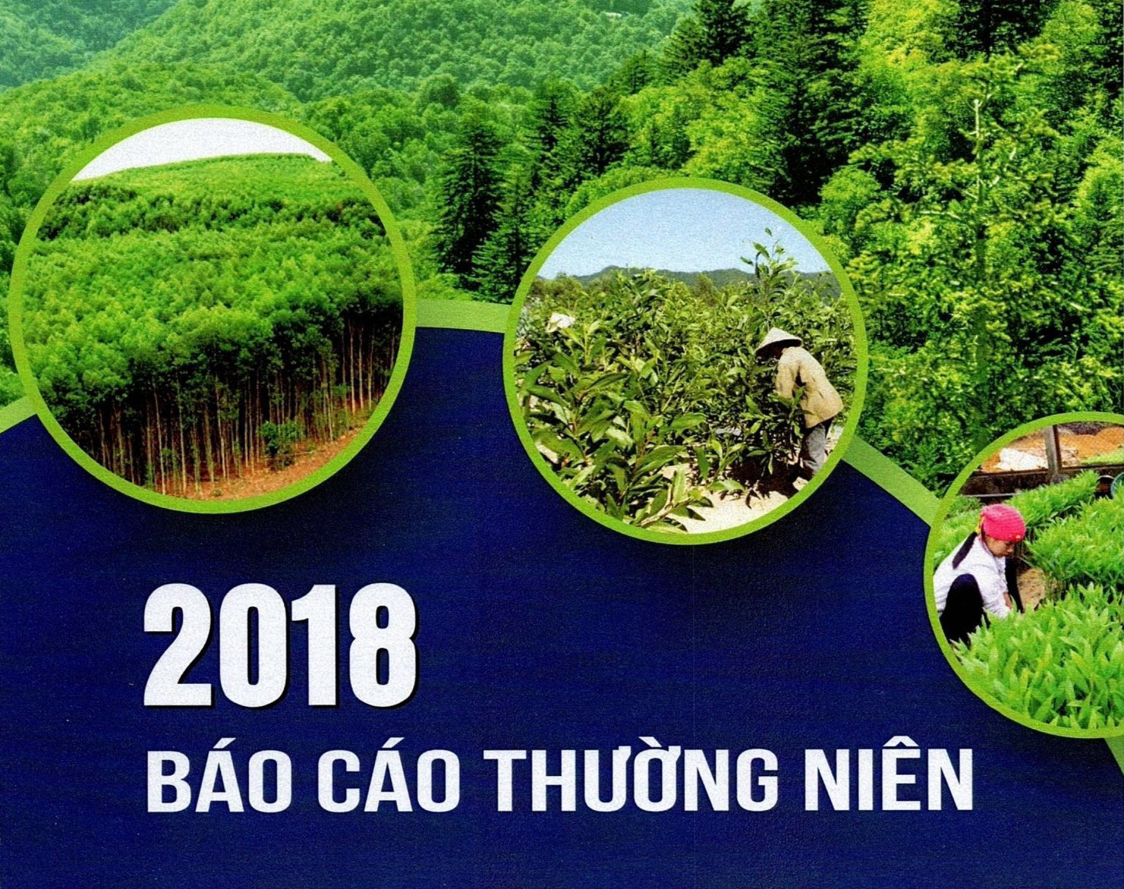 CBTT Báo cáo thường niên năm 2018 của Tổng công ty Lâm nghiệp Việt Nam - CTCP