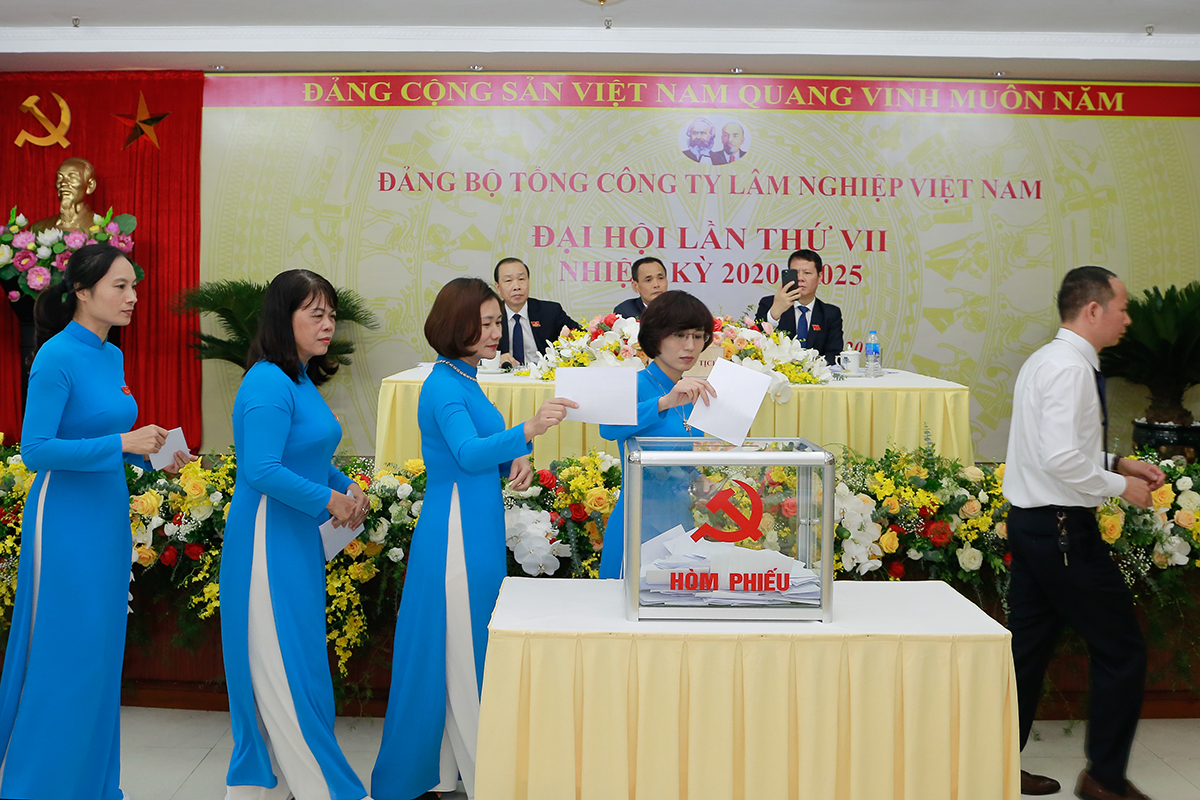 Đại hội Đảng bộ Tổng công ty Lâm nghiệp Việt Nam (VINAFOR) lần thứ VII (Nhiệm kỳ 2020 - 2025)